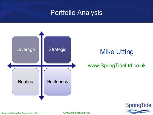 portfolio analysis