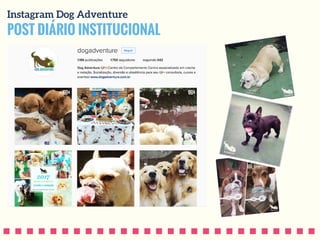 POST DIÁRIO INSTITUCIONAL
Instagram Dog Adventure
 