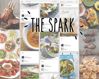 ‘

‘ ‘

‘
‘

‘

The Spark

 