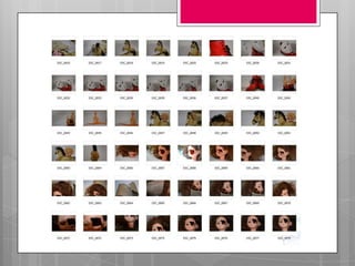 Portfolio contact sheet