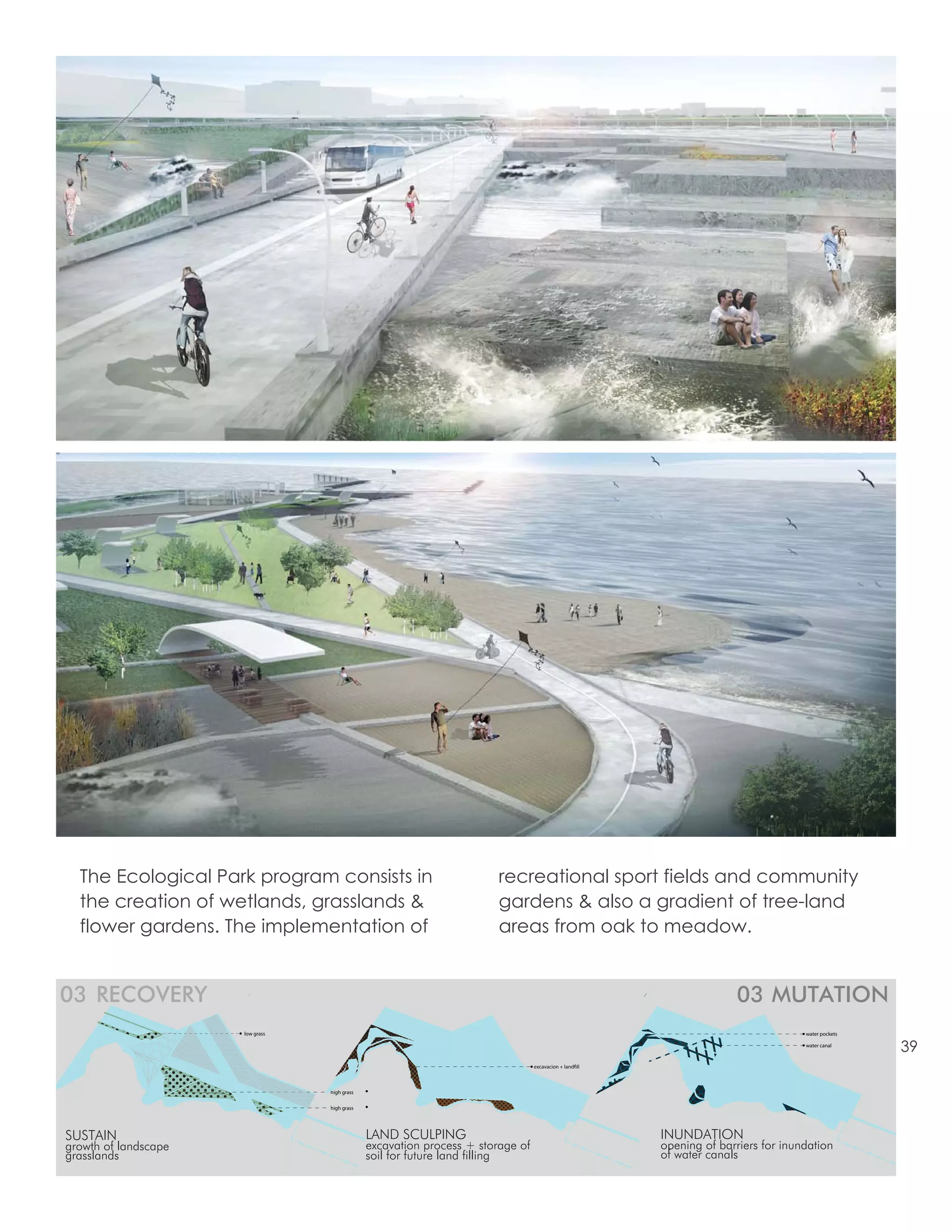 The Ecological Park program consists in                               recreational sport fields and community
  the creation of wetlands, grasslands &                                gardens & also a gradient of tree-land
  flower gardens. The implementation of                                 areas from oak to meadow.


03 RECOVERY                                                                                             03 MUTATION
                      low grass                                                                                      water pockets

                                                                                                                     water canal
                                                                                                                                     39

                                  high grass

                                  high grass




SUSTAIN                                        LAND SCULPING                             INUNDATION
growth of landscape                            excavation process + storage of           opening of barriers for inundation
grasslands                                     soil for future land filling              of water canals
 