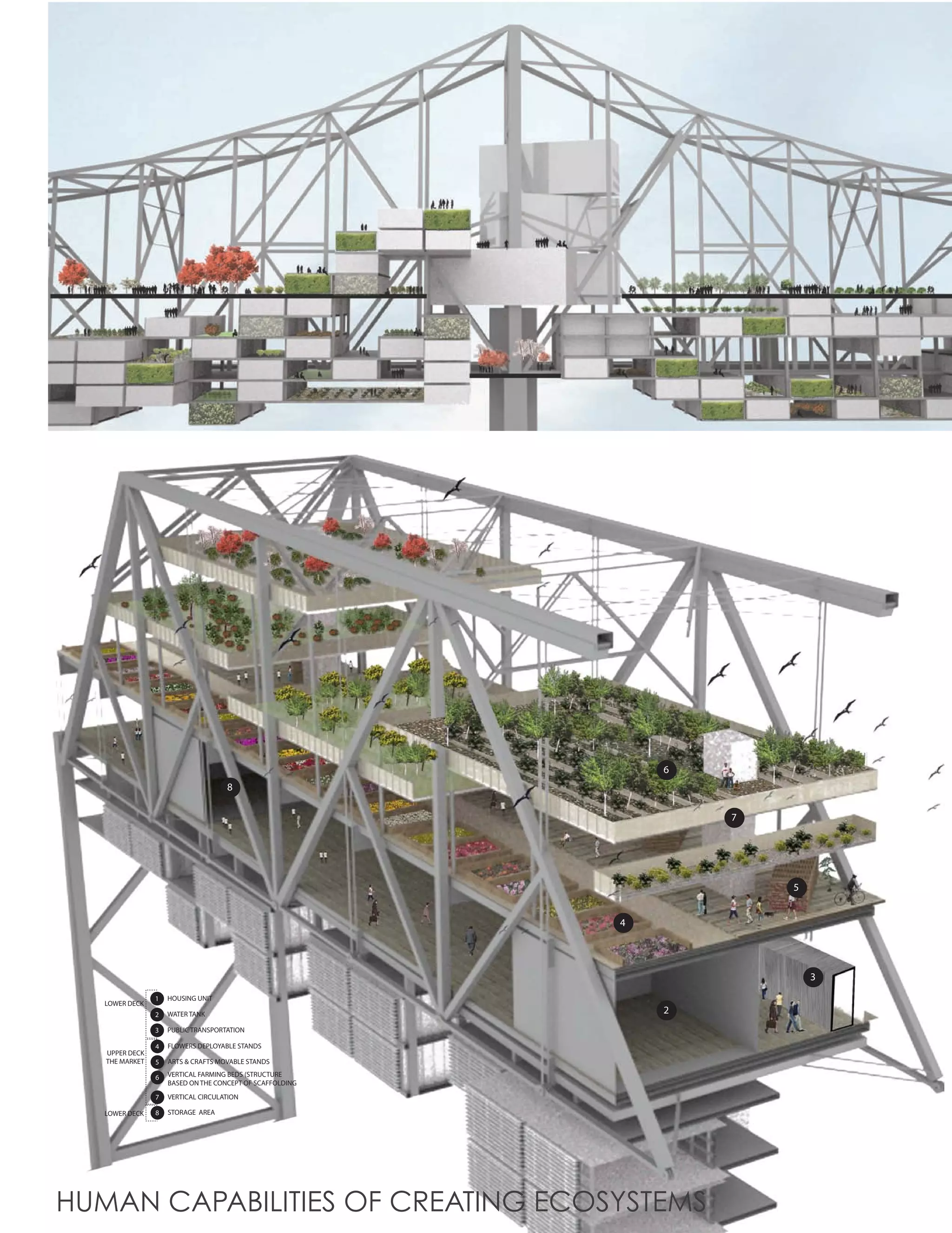 6
                                    8

                                                                       7




                                                                           5


                                                               4




                                                                               3
                1   HOUSING UNIT
   LOWER DECK
                2   WATER TANK                                     2
                3   PUBLIC TRANSPORTATION


   UPPER DECK
                4   FLOWERS DEPLOYABLE STANDS
                                                                                   41
   THE MARKET   5   ARTS & CRAFTS MOVABLE STANDS

                6   VERTICAL FARMING BEDS (STRUCTURE
                    BASED ON THE CONCEPT OF SCAFFOLDING)
                7   VERTICAL CIRCULATION
                                                           1
   LOWER DECK   8   STORAGE AREA




HUMAN CAPABILITIES OF CREATING ECOSYSTEMS
 