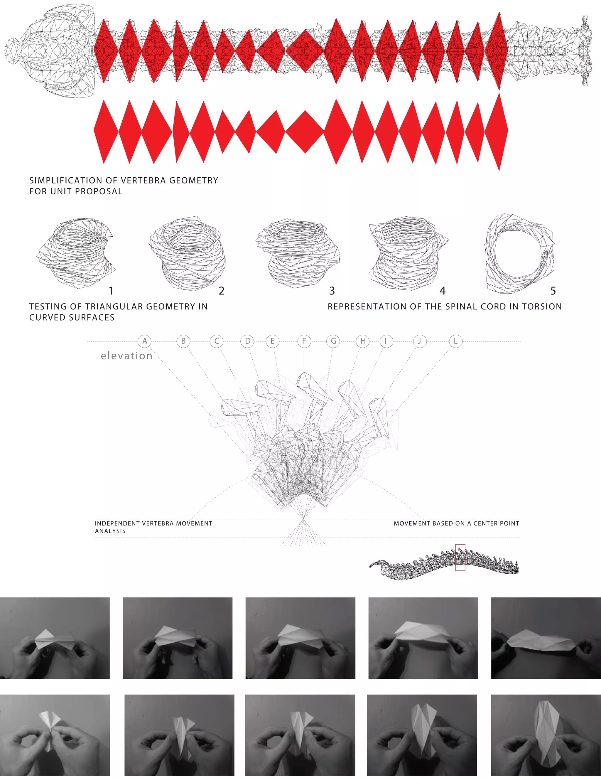 SIMPLIFICATION OF VERTEBRA GEOMETRY
FOR UNIT PROPOSAL




               1                            2               3                        4                       5
TESTING OF TRIANGULAR GEOMETRY IN                           REPRESENTATION OF THE SPINAL CORD IN TORSION
CURVED SURFACES

                       A         B          C   D   E   F   G     H   I         J        L
             elevation




            INDEPENDENT VERTEBRA MOVEMENT                                 MOVEMENT BASED ON A CENTER POINT
            ANALYSIS




                                                                                                                 47
 