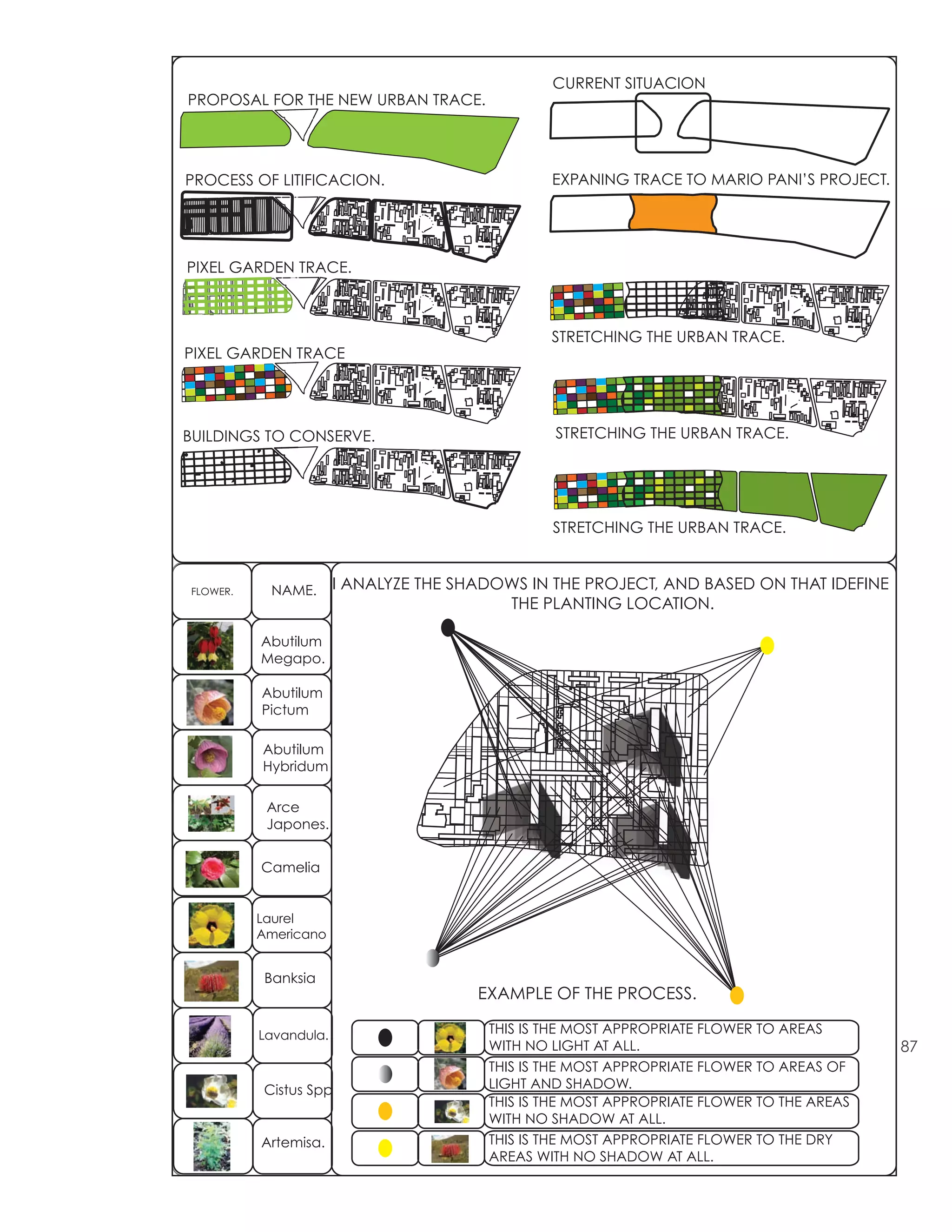 CURRENT SITUACION
PROPOSAL FOR THE NEW URBAN TRACE.




PROCESS OF LITIFICACION.                        EXPANING TRACE TO MARIO PANI’S PROJECT.




PIXEL GARDEN TRACE.



                                                STRETCHING THE URBAN TRACE.
PIXEL GARDEN TRACE




BUILDINGS TO CONSERVE.                          STRETCHING THE URBAN TRACE.




                                                STRETCHING THE URBAN TRACE.



FLOWER.    NAME.       I ANALYZE THE SHADOWS IN THE PROJECT, AND BASED ON THAT IDEFINE
                                          THE PLANTING LOCATION.

          Abutilum
          Megapo.

          Abutilum
          Pictum

          Abutilum
          Hybridum

           Arce
           Japones.


          Camelia


          Laurel
          Americano


           Banksia
                                       EXAMPLE OF THE PROCESS.

          Lavandula.                    THIS IS THE MOST APPROPRIATE FLOWER TO AREAS
                                        WITH NO LIGHT AT ALL.                              87
                                        THIS IS THE MOST APPROPRIATE FLOWER TO AREAS OF
          Cistus Spp                    LIGHT AND SHADOW.
                                        THIS IS THE MOST APPROPRIATE FLOWER TO THE AREAS
                                        WITH NO SHADOW AT ALL.
          Artemisa.                     THIS IS THE MOST APPROPRIATE FLOWER TO THE DRY
                                        AREAS WITH NO SHADOW AT ALL.
 