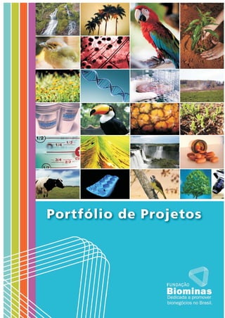 Projetos Biominas