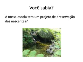 Você sabia?
A nossa escola tem um projeto de preservação
das nascentes?
 