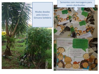 Mudas doadas
pela Usina e
Gincana Solidária
Sementes com mensagens para
serem distribuídas.
 