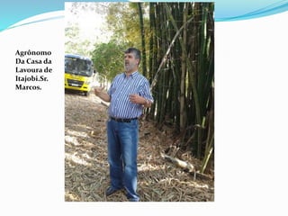 Agrônomo
Da Casa da
Lavoura de
Itajobi.Sr.
Marcos.
 