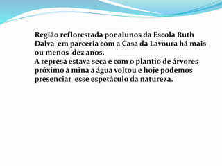 Região reflorestada por alunos da Escola Ruth
Dalva em parceria com a Casa da Lavoura há mais
ou menos dez anos.
A represa estava seca e com o plantio de árvores
próximo à mina a água voltou e hoje podemos
presenciar esse espetáculo da natureza.
 