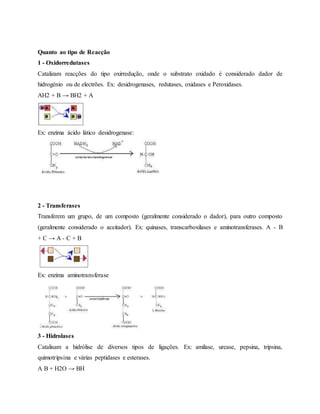 Quanto ao tipo de Reacção
1 - Oxidorredutases
Catalizam reacções do tipo oxirredução, onde o substrato oxidado é considerado dador de
hidrogénio ou de electrões. Ex: desidrogenases, redutases, oxidases e Peroxidases.
AH2 + B → BH2 + A
Ex: enzima ácido lático desidrogenase:
2 - Transferases
Transferem um grupo, de um composto (geralmente considerado o dador), para outro composto
(geralmente considerado o aceitador). Ex: quinases, transcarboxilases e aminotransferases. A - B
+ C → A - C + B
Ex: enzima aminotransferase
3 - Hidrolases
Catalisam a hidrólise de diversos tipos de ligações. Ex: amilase, urease, pepsina, tripsina,
quimotripsina e várias peptidases e esterases.
A B + H2O → BH
 