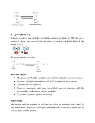 6 - Ligases ( Sintetases)
Catalisam a união de duas moléculas, com hidrólise simultânea da ligação do ATP. Ou seja: É
reações de síntese, onde duas moléculas são unidas, às custas de uma ligação fosfato de alta
energia do ATP.
Ex: enzima piruvato carboxilase:
Eficiência catalítica
 Alto grau de especificidade em relação a seus substratos (reagentes) e aos seus produtos;
 Aceleram a velocidade das reacções em 109 a 1012 vezes mais do que as reacções
 Correspondentes não catalisadas;
 Actuam em concentrações muito baixas e em condições suaves de temperatura e pH. Não
são consumidas ou alteradas ao participar da catálise;
 Não alteram o equilíbrio químico das reacções;
COFATORES
são pequenas moléculas orgânicas ou inorgânicas que podem ser necessárias para a função de
uma enzima. Estes cofatores não estão ligados permanente mete à molécula da enzima mas, na
ausência deles, a enzima é inativa.
 