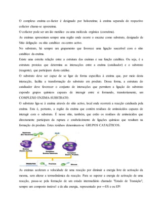 O complexo enzima–co-factor é designado por holoenzima; à enzima separada do respectivo
cofactor chama-se apoenzima.
O cofactor pode ser um ião metálico ou uma molécula orgânica (coenzima).
As enzimas apresentam sempre uma região onde ocorre o encaixe como substrato, designado de
Sítio deligação ou sítio catalítico ou centro activo.
No substrato, há sempre um grupamento que favorece uma ligação suscetível com o sítio
catalítico da enzima.
Existe uma estreita relação entre a estrutura das enzimas e sua função catalítica. Ou seja, é a
estrutura proteíca que determina as interacções entre a enzima (catalisador) e o substrato
(reagente), que participam desta catálise.
O substrato deve ser capaz de se ligar de forma específica à enzima que, por meio desta
interacção, facilita a transformação do substrato em produto. Dessa forma, a estrutura do
catalisador deve favorecer o conjunto de interacções que permitem a ligação do substrato
expondo grupos químicos capazes de interagir entre si formando, transitoriamente, um
COMPLEXO ENZIMA-SUBSTRATO.
O substrato liga-se à enzima através do sítio activo, local onde ocorrerá a reacção catalisada pela
enzima. Esta é, portanto, a região da enzima que contém resíduos de aminoácidos capazes de
interagir com o substrato. É nesse sítio, também, que estão os resíduos de aminoácidos que
directamente participam da ruptura e estabelecimento de ligações químicas que resultam na
formação do produto. Estes resíduos denominam-se GRUPOS CATALÍTICOS.
As enzimas aceleram a velocidade de uma reacção por diminuir a energia livre de activação da
mesma, sem alterar a termodinâmica da reacção. Para se superar a energia de activação de uma
reacção, passa-se pela formação de um estado intermediário chamado "Estado de Transição",
sempre um composto instável e de alta energia, representado por ―ES e ou EP‖
 