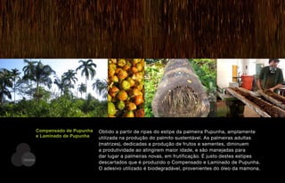 Compensado de Pupunha   Obtido a partir de ripas do estipe da palmeira Pupunha, amplamente
         e Laminado de Pupunha   utilizada na produção do palmito sustentável. As palmeiras adultas
                                 (matrizes), dedicadas a produção de frutos e sementes, diminuem
                                 a produtividade ao atingirem maior idade, e são manejadas para
                                 dar lugar a palmeiras novas, em frutificação. É justo destes estipes
DESENV
                                 descartados que é produzido o Compensado e Laminado de Pupunha.
                                 O adesivo utilizado é biodegradável, provenientes do óleo da mamona.
 