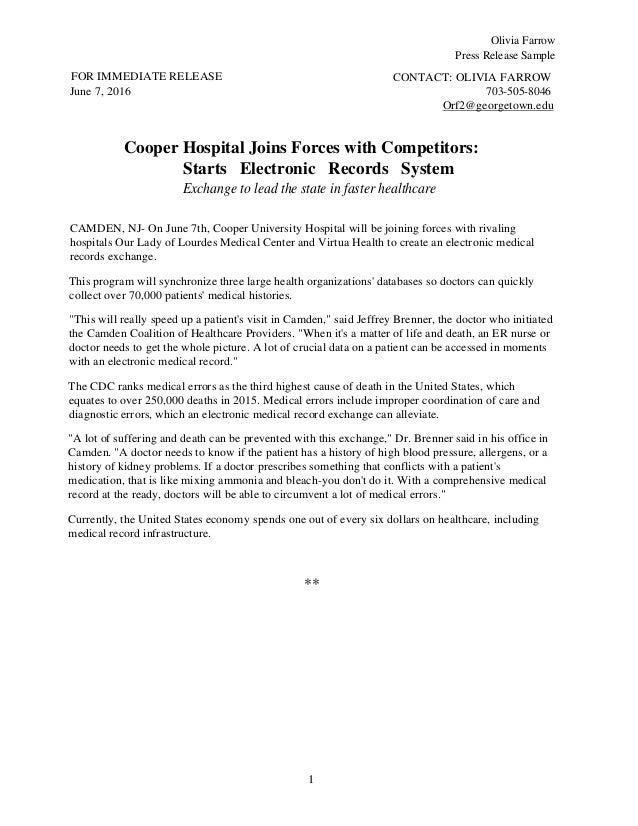 Professional portfolio introduction examples image