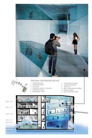 PAVILION A: EXPERIENCING NATURE
1 EXHIBITION CORE
2 EXHIBITION RAMPS
3 GLASS BOX
4 PAVILION A EGRESS + ELEVATOR
5 EXHIBITION SPACES
6 MUSEUM GIFT SHOP
7 PEDESTRIAN PATHWAY
8 MUSEUM CORRIDOR
9 BIKE SHOP
10 BIKE + PEDESTRIAN PATHWAY
11 PAVILION LOBBY
12 GLASS TUBE WITH RAMP
MEAN TIDE - LEVEL 1
HIGH TIDE + 10’
LEVEL 2 + 12’
LEVEL 3 + 24’
LEVEL 4 +36’
LEVEL 5 + 48’
LOW TIDE - 1’-8”
13
4
5
5
6
7
8
8
9 10 11 12
2
 