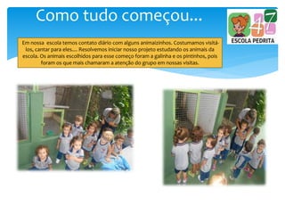 Como tudo começou...
Em nossa escola temos contato diário com alguns animaizinhos. Costumamos visitá-
los, cantar para eles.... Resolvemos iniciar nosso projeto estudando os animais da
escola. Os animais escolhidos para esse começo foram a galinha e os pintinhos, pois
foram os que mais chamaram a atenção do grupo em nossas visitas.
 