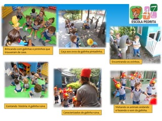 Brincando com galinhas e pintinhos que
trouxeram de casa. Caça aos ovos da galinha pintadinha.
Encontrando os ovinhos.
Contando história: A galinha ruiva
Caracterizados de galinha ruiva.
Visitando os animais andando
e fazendo o som da galinha.
 