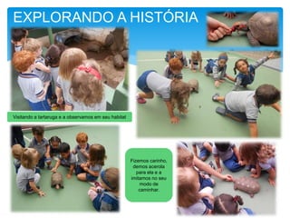 EXPLORANDO A HISTÓRIA
Visitando a tartaruga e a observamos em seu habitat
Fizemos carinho,
demos acerola
para ela e a
imitamos no seu
modo de
caminhar.
 