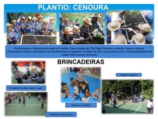 PLANTIO: CENOURA
Exploramos o alimento principal do coelho. Com a ajuda do Tio Pepe, fizemos o plantio, passo a passo.
Preparamos a terra, colocamos as sementinhas, e regamos. E todos os dias cumprimos com a responsabilidade de
cuidar das nossas cenouras.
BRINCADEIRAS
O coelho mandou, fazer o que?
Quem é o Coelho
Coelho Pegador
Coelhinho sai da toca
 