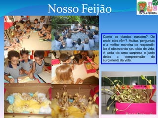 Nosso Feijão
Como as plantas nascem? De
onde elas vêm? Muitas perguntas
e a melhor maneira de respondê-
las é observando seu ciclo de vida.
A cada dia uma surpresa e junto
delas a compreensão do
surgimento da vida.
 