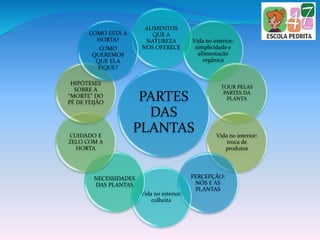 PARTES
DAS
PLANTAS
ALIMENTOS
QUE A
NATUREZA
NOS OFERECE
Vida no interior:
simplicidade e
alimentação
orgânica
TOUR PELAS
PARTES DA
PLANTA
Vida no interior:
troca de
produtos
PERCEPÇÃO:
NÓS E AS
PLANTAS
Vida no interior:
colheita
NECESSIDADES
DAS PLANTAS
CUIDADO E
ZELO COM A
HORTA
HIPÓTESES
SOBRE A
“MORTE” DO
PÉ DE FEIJÃO
COMO ESTÁ A
HORTA?
COMO
QUEREMOS
QUE ELA
FIQUE?
 