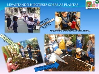 ADQUIRINDO EXPERIÊNCIA COM A TERRA
LEVANTANDO HIPÓTESES SOBRE AS PLANTAS
 