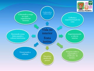 Vida no
interior
Festa
junina
Conhecendo a
cultura rural
Colheita e
experimentação da
cana
Experimentando
a vida no
interior
Pesquisa sobre o
espantalho e
confecção do
mesmo -
Pescaria e
modos de
pescar
Vivenciando a
colheita
Decorando nossa
festa usando a
cultura interiorana
Colocando a roupa
no varal –
experiências
motoras
 