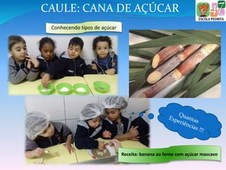 CAULE: CANA DE AÇÚCAR
Conhecendo tipos de açúcar
Receita: banana ao forno com açúcar mascavo
 