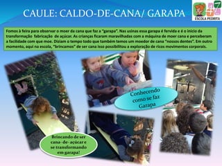 CAULE: CALDO-DE-CANA/ GARAPA
Fomos à feira para observar o moer da cana que faz a “garapa”. Nas usinas essa garapa é fervida e é o inicio da
transformação fabricação de açúcar. As crianças ficaram maravilhadas com a máquina de moer cana e perceberam
a facilidade com que moe. Diziam o tempo todo que também temos um moedor de cana “nossos dentes”. Em outro
momento, aqui na escola, “brincamos” de ser cana isso possibilitou a exploração de ricos movimentos corporais.
Brincando de ser
cana- de- açúcar e
se transformando
em garapa!
 