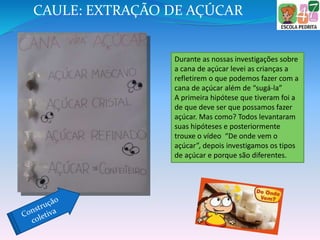 Durante as nossas investigações sobre
a cana de açúcar levei as crianças a
refletirem o que podemos fazer com a
cana de açúcar além de “sugá-la”
A primeira hipótese que tiveram foi a
de que deve ser que possamos fazer
açúcar. Mas como? Todos levantaram
suas hipóteses e posteriormente
trouxe o vídeo “De onde vem o
açúcar”, depois investigamos os tipos
de açúcar e porque são diferentes.
CAULE: EXTRAÇÃO DE AÇÚCAR
 