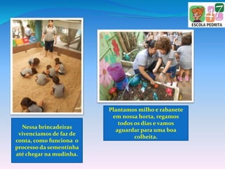 Nessa brincadeiras
vivenciamos de faz de
conta, como funciona o
processo da sementinha
até chegar na mudinha.
Plantamos milho e rabanete
em nossa horta, regamos
todos os dias e vamos
aguardar para uma boa
colheita.
 