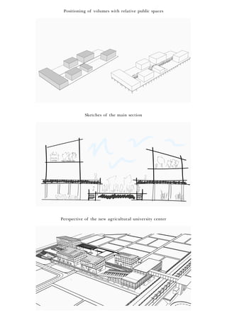Positioning of volumes with relative public spaces
Sketches of the main section
Perspective of the new agricultural university center
 