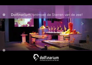 Dolﬁnarium, ontmoet de Sterren van de zee!
 