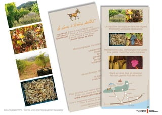 BRAND IDENTITY : FLYER AND PHOTOGRAPHIC IMAGERY
 