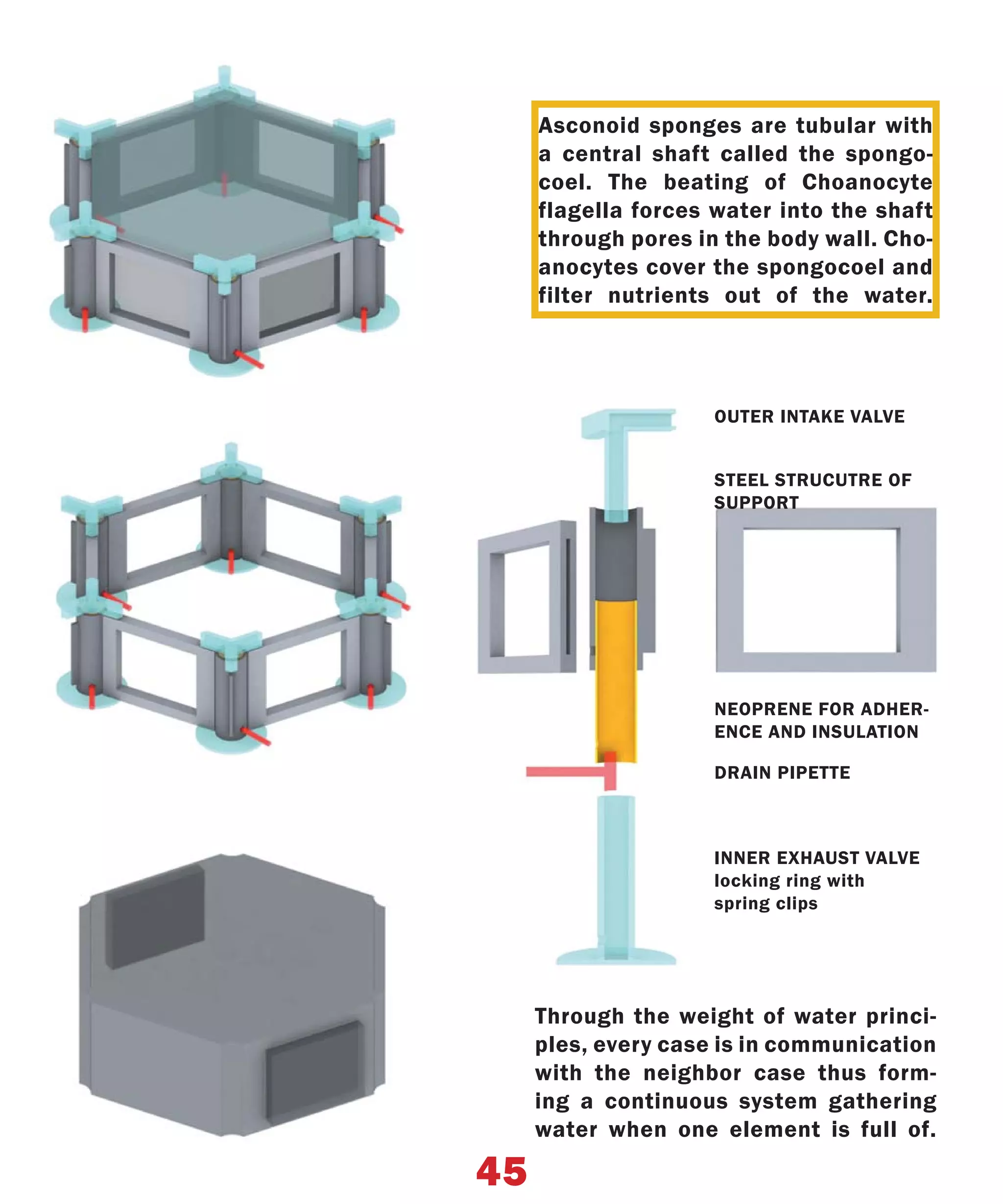 Asconoid sponges are tubular with
     a central shaft called the spongo-
     coel. The beating of Choanocyte
     flagella forces water into the shaft
     through pores in the body wall. Cho-
     anocytes cover the spongocoel and
     filter nutrients out of the water.




                     OUTER INTAKE VALVE


                     STEEL STRUCUTRE OF
                     SUPPORT




                     NEOPRENE FOR ADHER-
                     ENCE AND INSULATION

                     DRAIN PIPETTE



                     INNER EXHAUST VALVE
                     locking ring with
                     spring clips




     Through the weight of water princi-
     ples, every case is in communication
     with the neighbor case thus form-
     ing a continuous system gathering
     water when one element is full of.

45
 