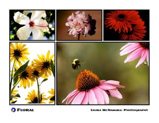 Floral   Laura McNamara: Photography
 