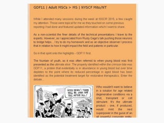 Portfolio @msemporda