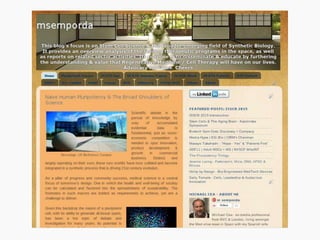 Portfolio @msemporda