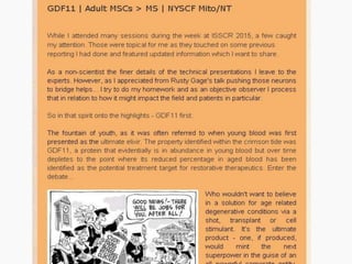 @msemporda portfolio updated