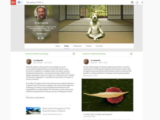 @msemporda portfolio updated