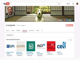 @msemporda portfolio updated