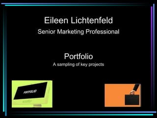 Portfolio A sampling of key projects Eileen Lichtenfeld Senior Marketing Professional 