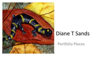 Diane T Sands
Portfolio Pieces
 