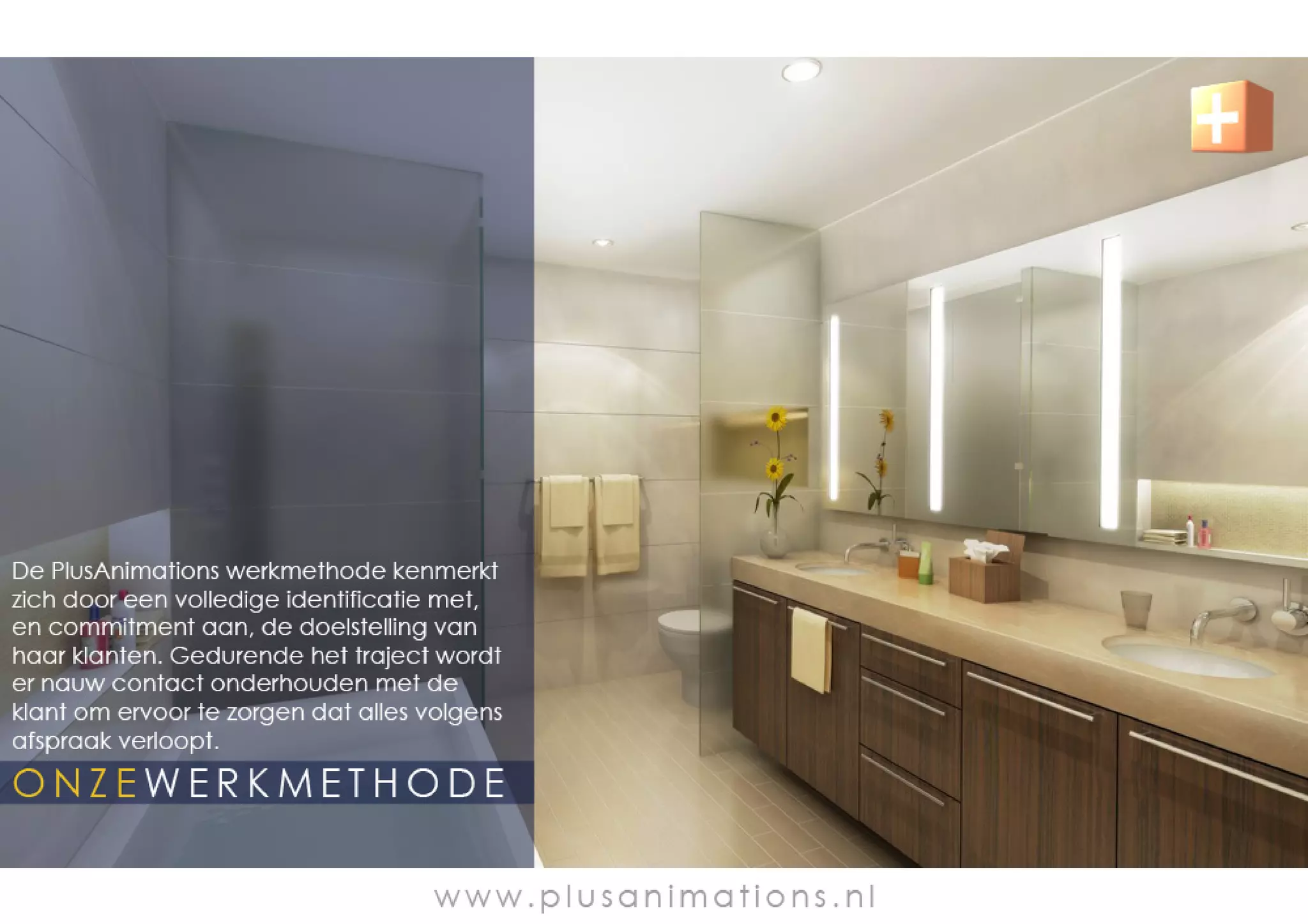 Portfolio PlusAnimations 2009 NL