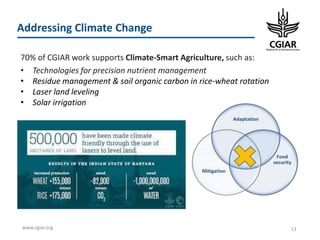 CGIAR Portfolio 2017-2022
