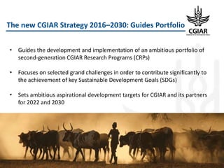 CGIAR Portfolio 2017-2022