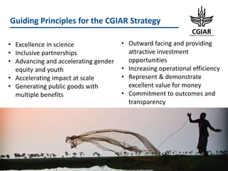 CGIAR Portfolio 2017-2022