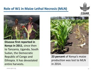 CGIAR Portfolio 2017-2022