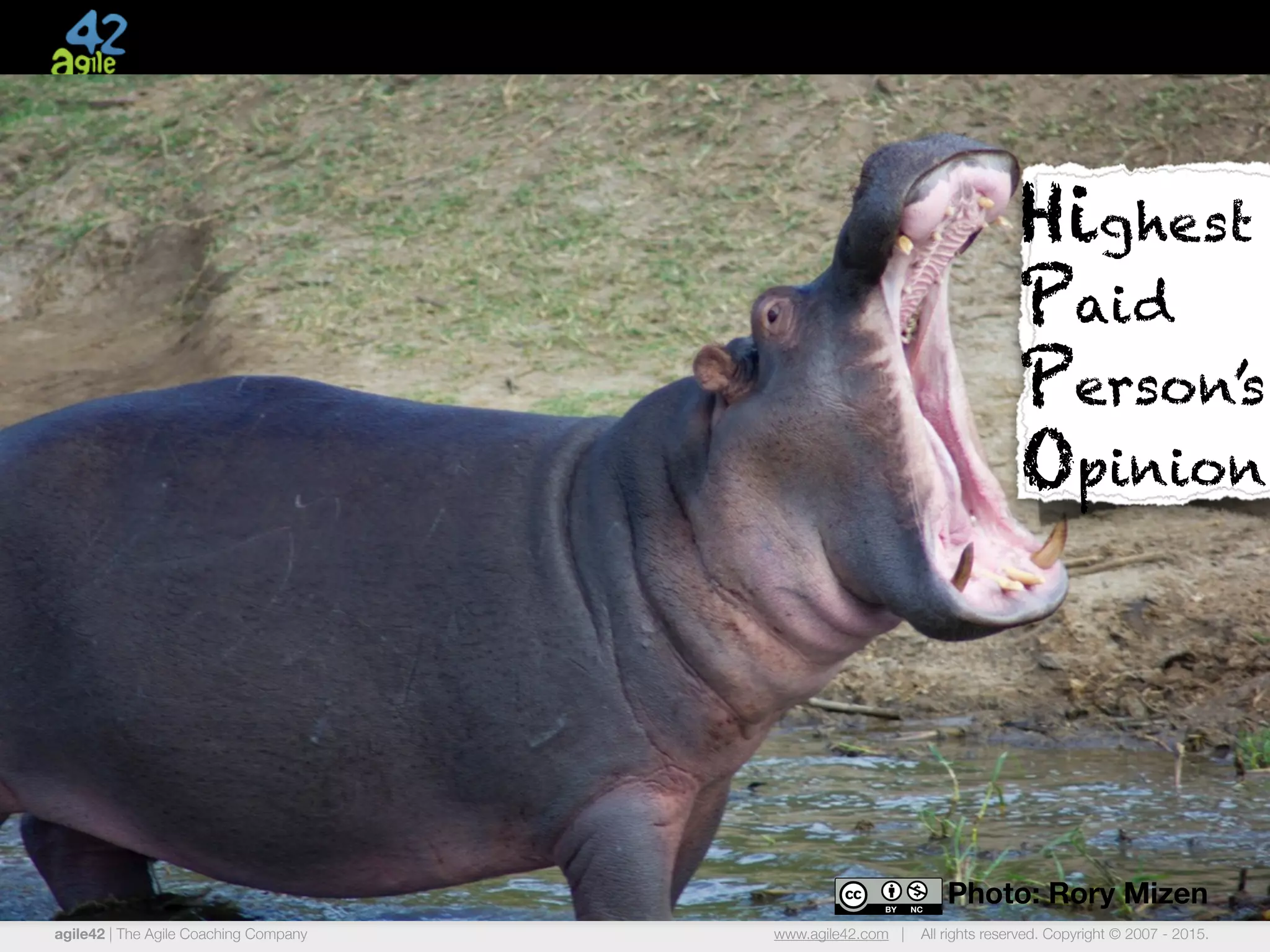 agile42 | The Agile Coaching Company www.agile42.com | All rights reserved. Copyright © 2007 - 2015.
Photo: Rory Mizen
Highest
Paid
Person’s
Opinion
 