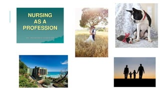 Portfolio project. frameworks. kylie roach.